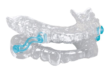 dentist sarnia